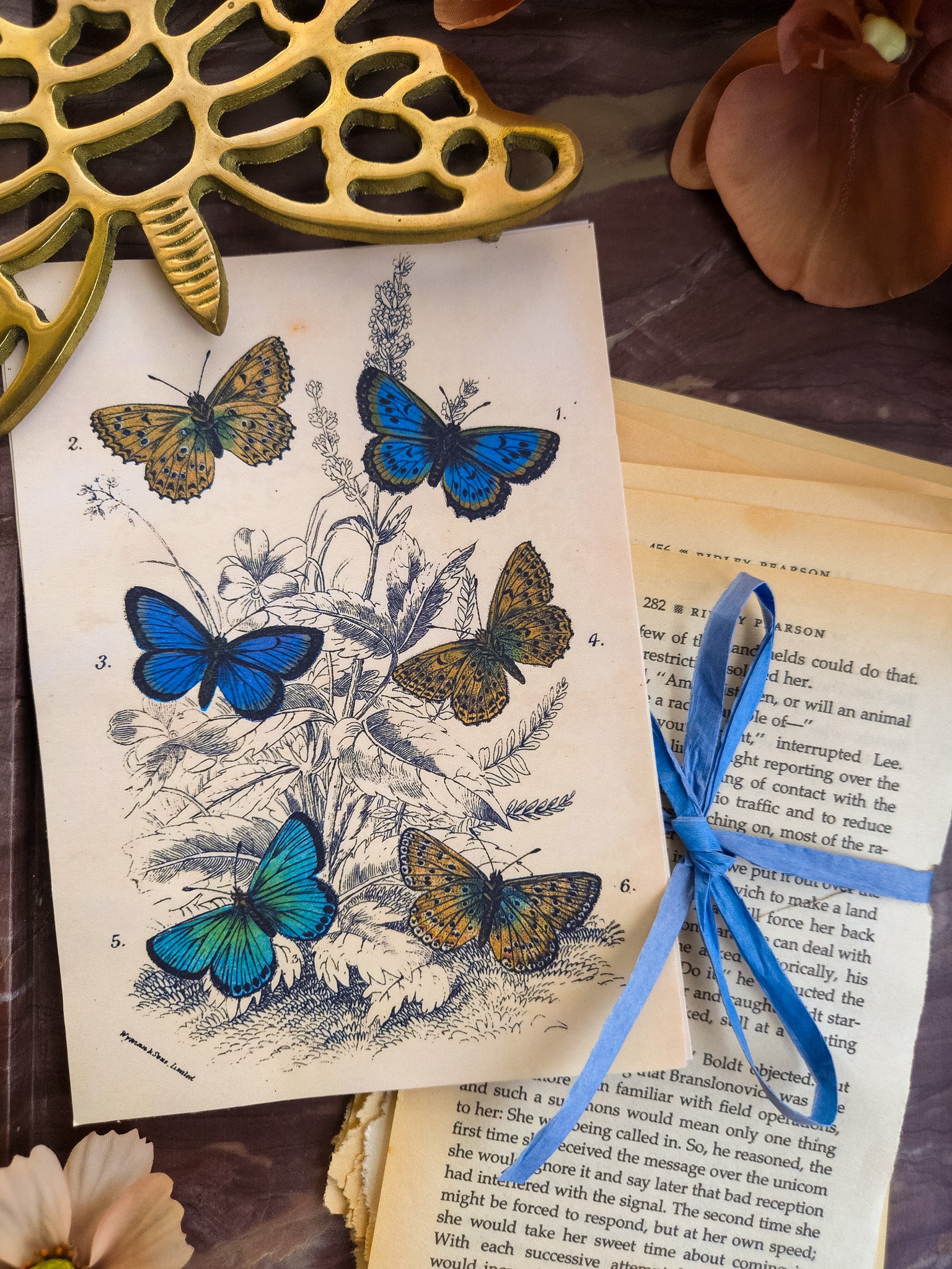 Winged Wonders I