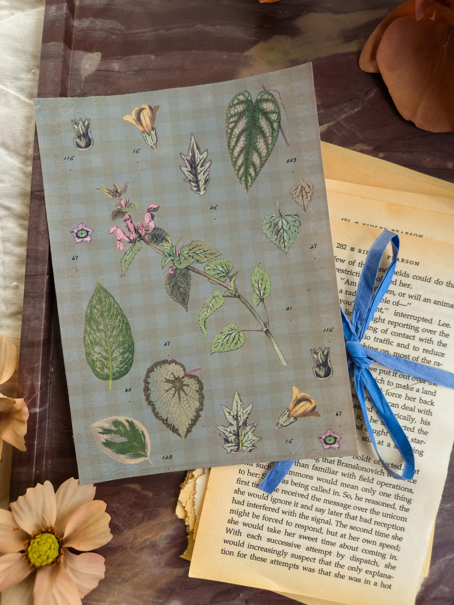 Sticker Sheet Bundle – Garden Paper Collection (Set of 6)