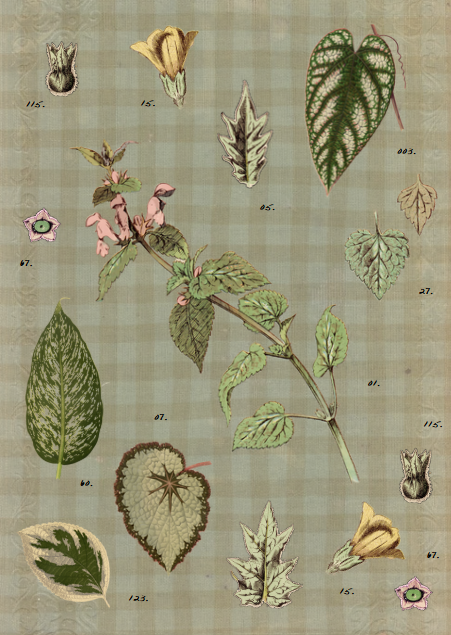 Field & Fable Sticker Sheet